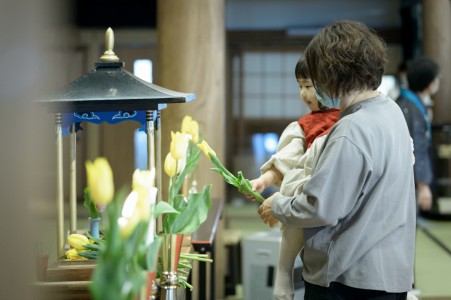 チューリップのおそなえ